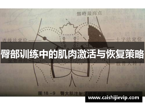臀部训练中的肌肉激活与恢复策略